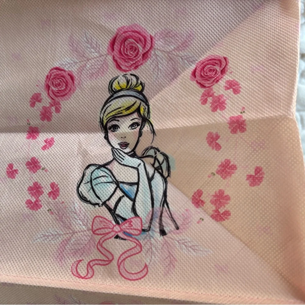 Disney Princess 6-Shelf Hanging Closet Organizer